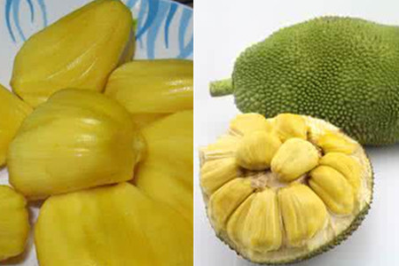 四月是你的谎言