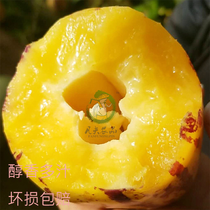 十三陵传人之英雄本色