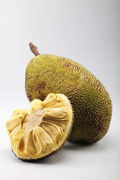 功夫四侠：勇闯地宫