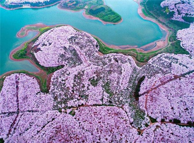 制造伍德斯托克音乐节