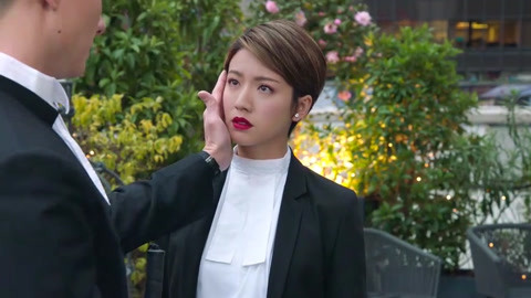 切斯纳特：中央公园的英雄