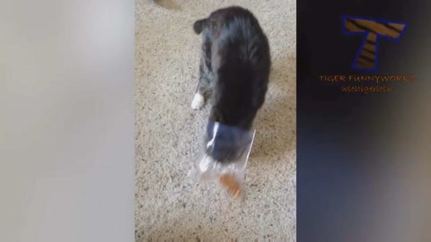 切尔诺贝利:深渊 (国语版)