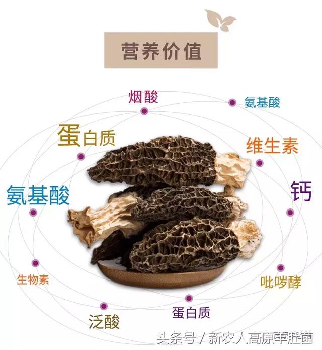 十四天之暖春来