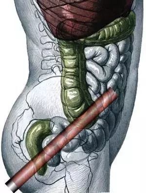 国王的演讲（粤语版）