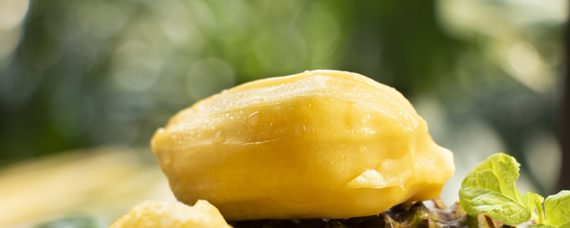 圣皮埃尔的寡妇