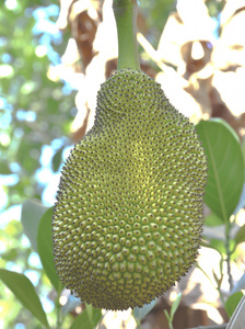 功夫熊猫2 普通话版